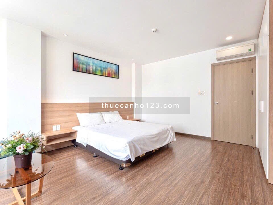 Cho thuê căn hộ đường Trường Sơn gần sân bay Tân Sơn Nhất Tân Bình, Đại học Huflit, CV Hoàng Văn Thụ