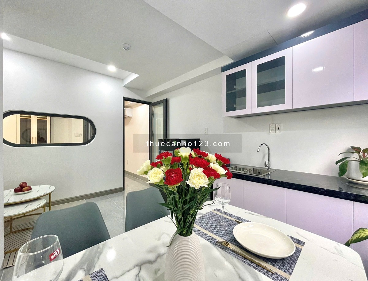 Căn hộ full nội thất 1 phòng ngủ ngay giữa trung tâm Tân Bình