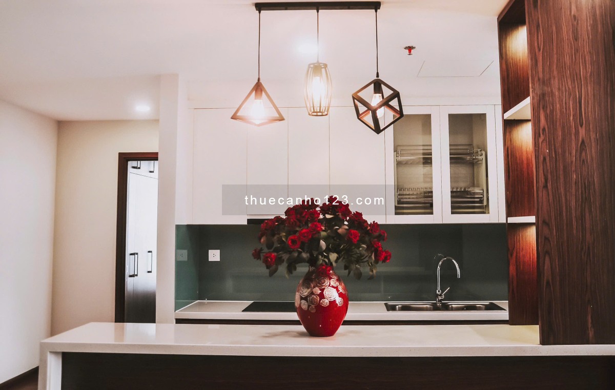 Cho thuê căn hộ full nội thất – Discovery Cầu Giấy