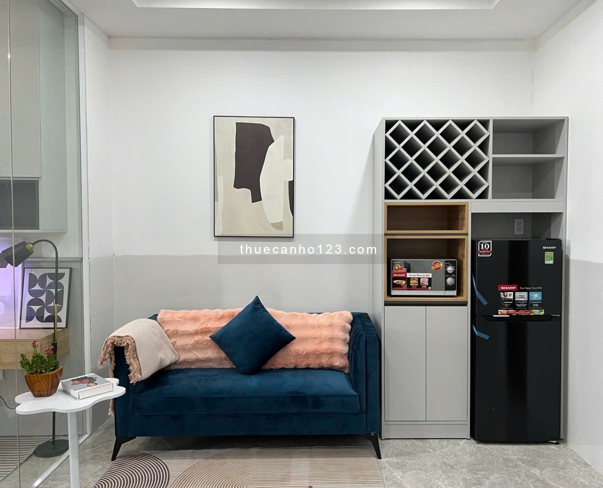 Cho thuê căn hộ 1 phòng ngủ, full nội thất, đường Trần Xuân Soạn, Quận 7