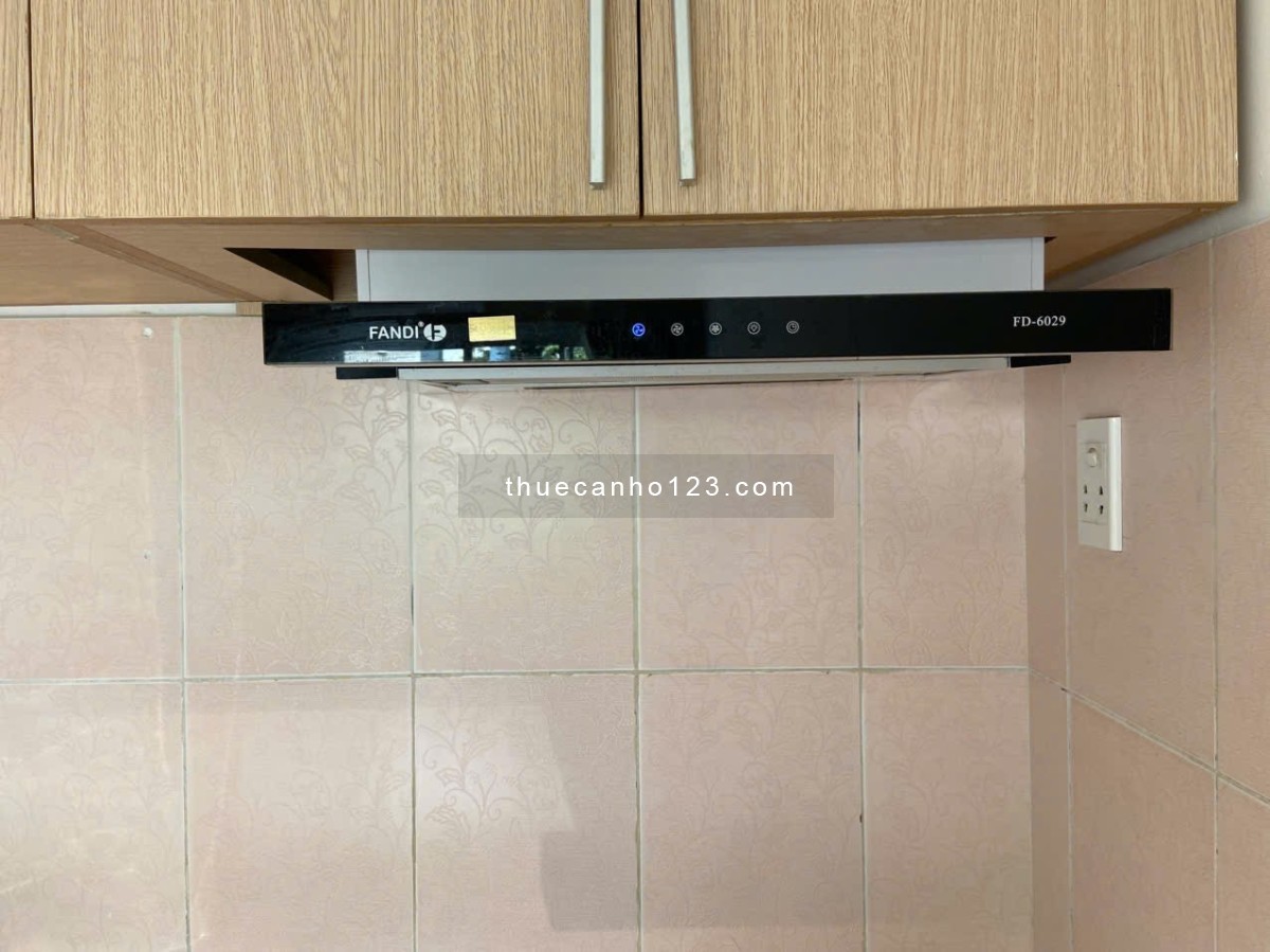 Cho thuê căn hộ nhận nhà ở ngay đối diênn E-Town Cộng Hoà full nội thất