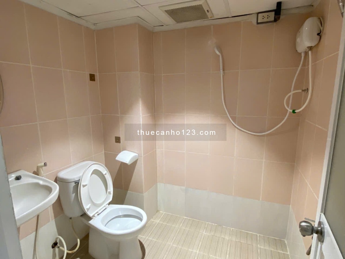 Cho thuê căn hộ nhận nhà ở ngay đối diênn E-Town Cộng Hoà full nội thất