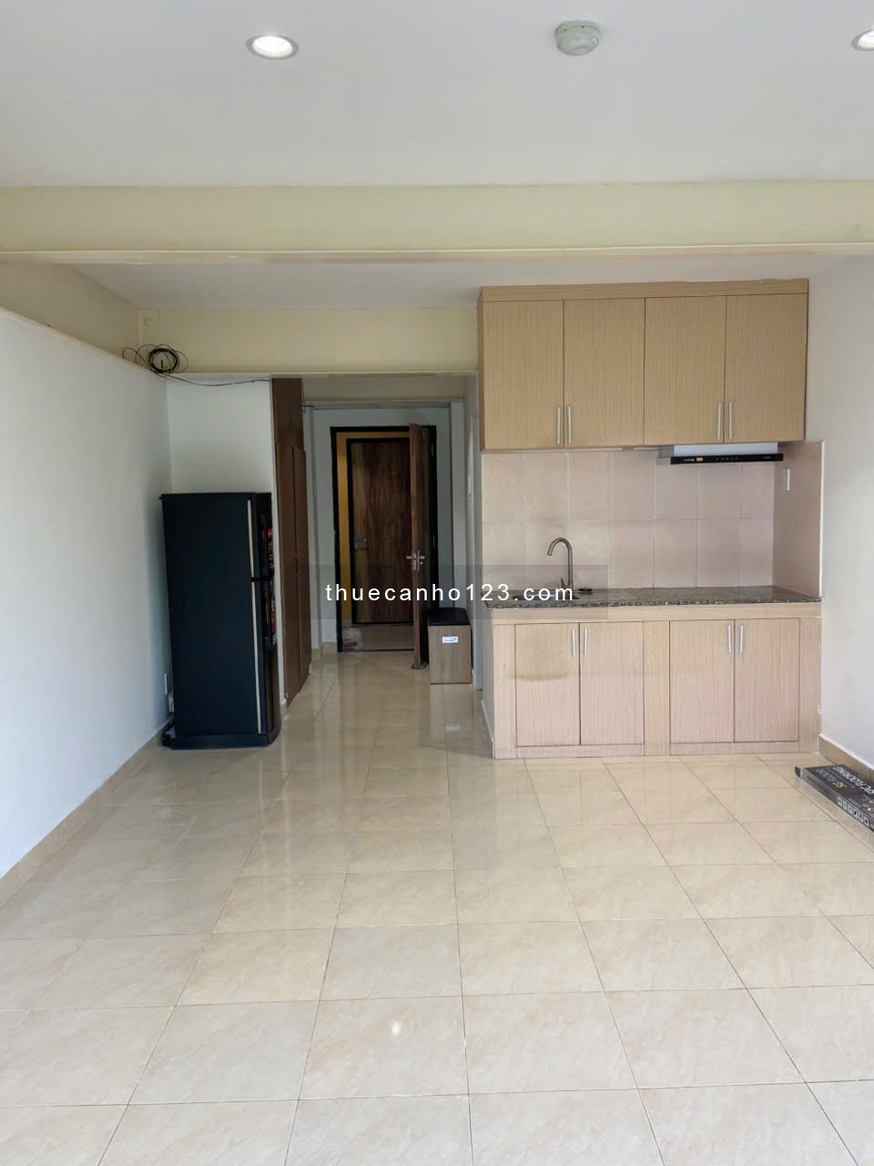 Cho thuê căn hộ nhận nhà ở ngay đối diênn E-Town Cộng Hoà full nội thất