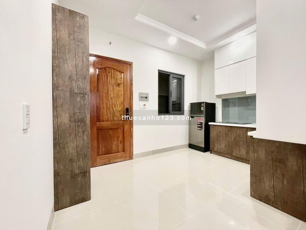 Căn hộ 1PN full nội thất ngay trung tâm Quận 7