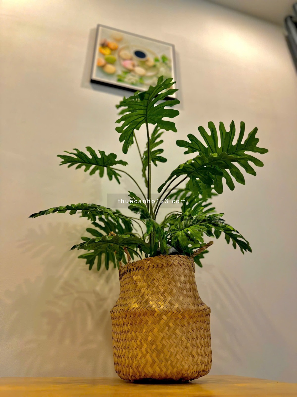 Nguyễn Khoái Quận 4 - Phòng tách bếp - Siêu rộng - Nội thất mới