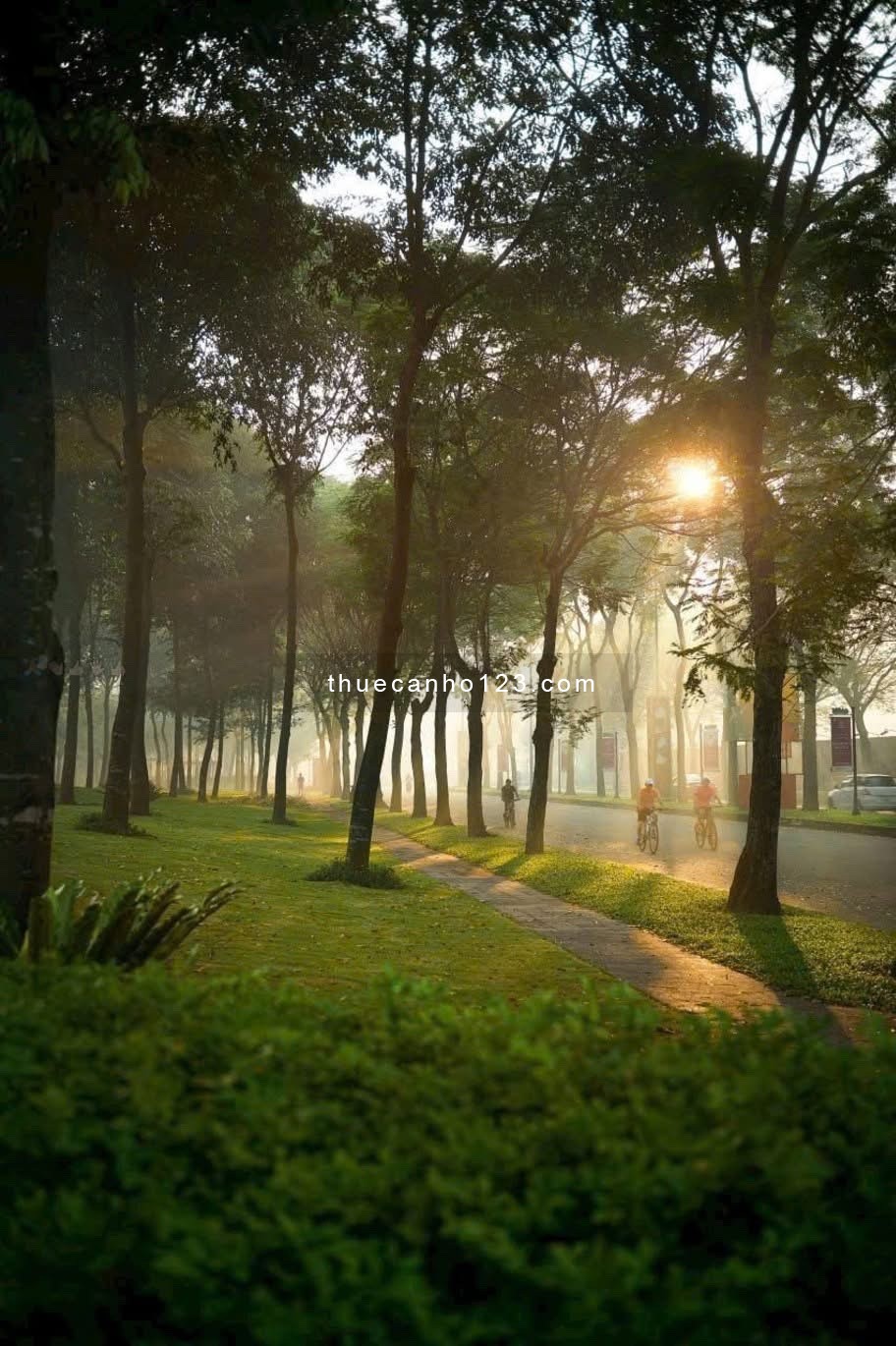 Cho thuê căn hộ tại Celadoncity Tân Phú giá gần Aeon Mall