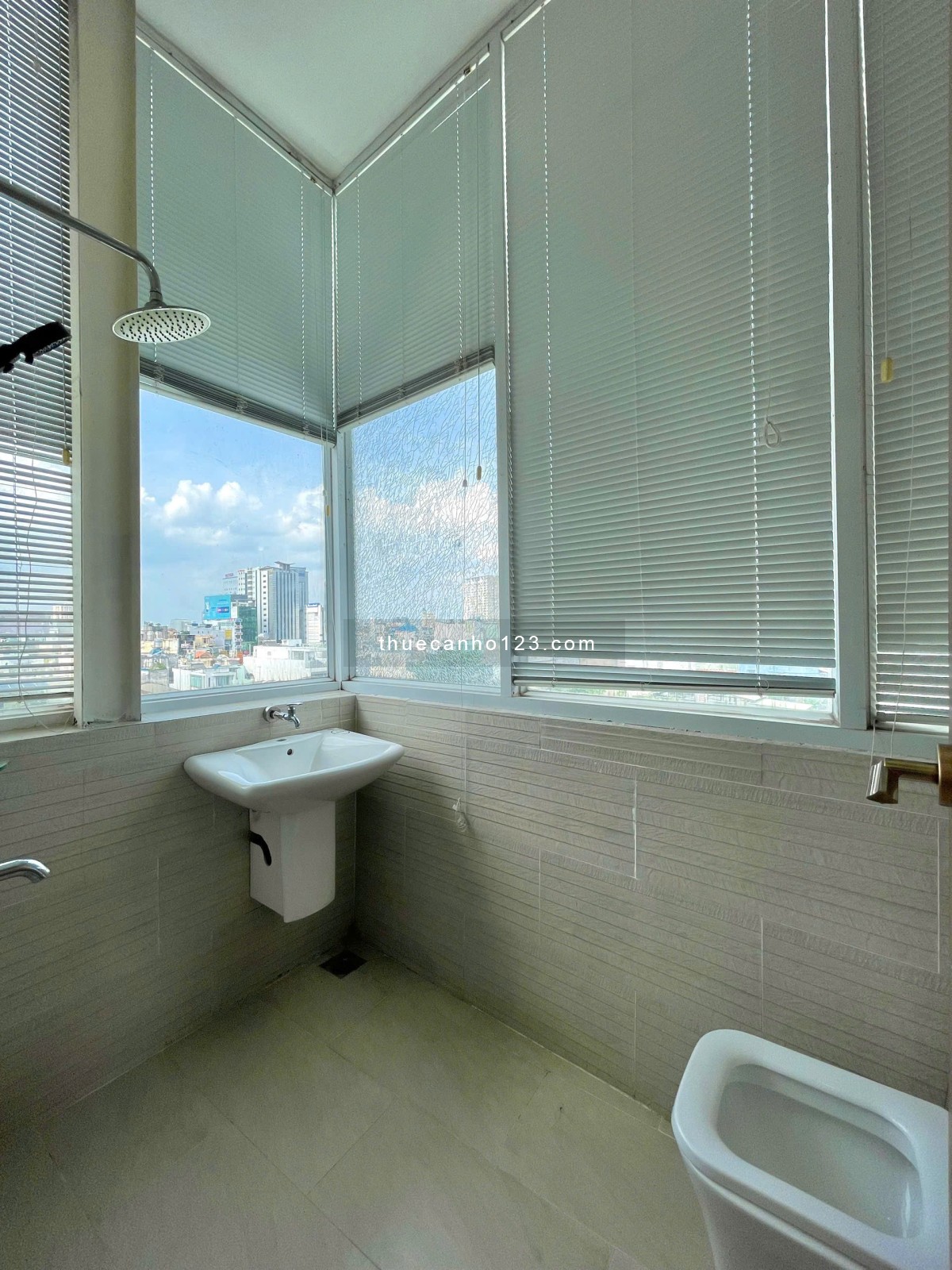 Cho thuê căn hộ Bình Thạnh cao cấp, penthouse sân vườn 60m², thang máy, có giặt riêng, ngay cầu Thị