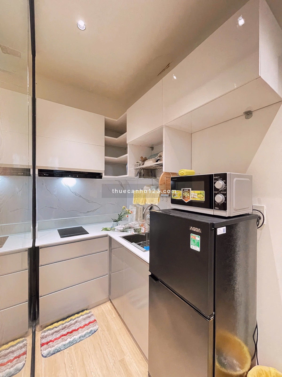 Cho thuê căn hộ Bình Thạnh, 1PN full nội thất, 30m², thang máy, ban công, giặt riêng, ngay cầu Thị N