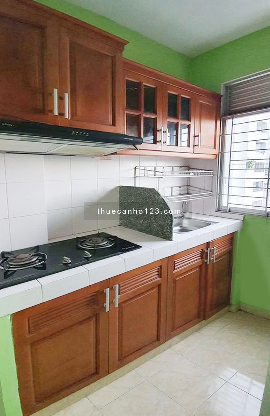 Cho thuê căn hộ chung cư 109 Nguyễn Biểu Q.5, DT 55m²,1 phòng ngủ, 1 toilet, đủ nội thất 9.5 triệu