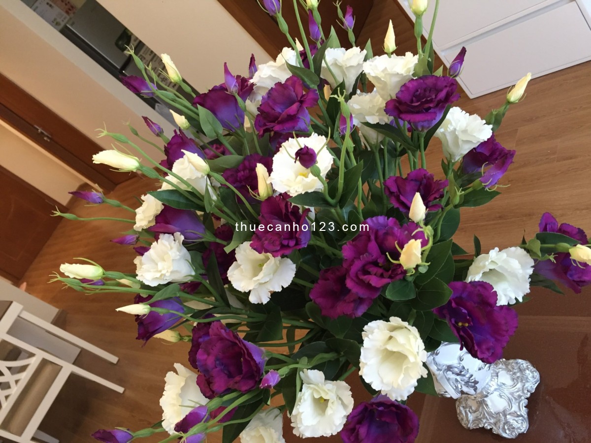 BQL Vinhomes Nguyễn Chí Thanh cho thuê căn 1 - 2 - 3 - 4pn giá rẻ nhất thị trường, LH: 0912.396.400