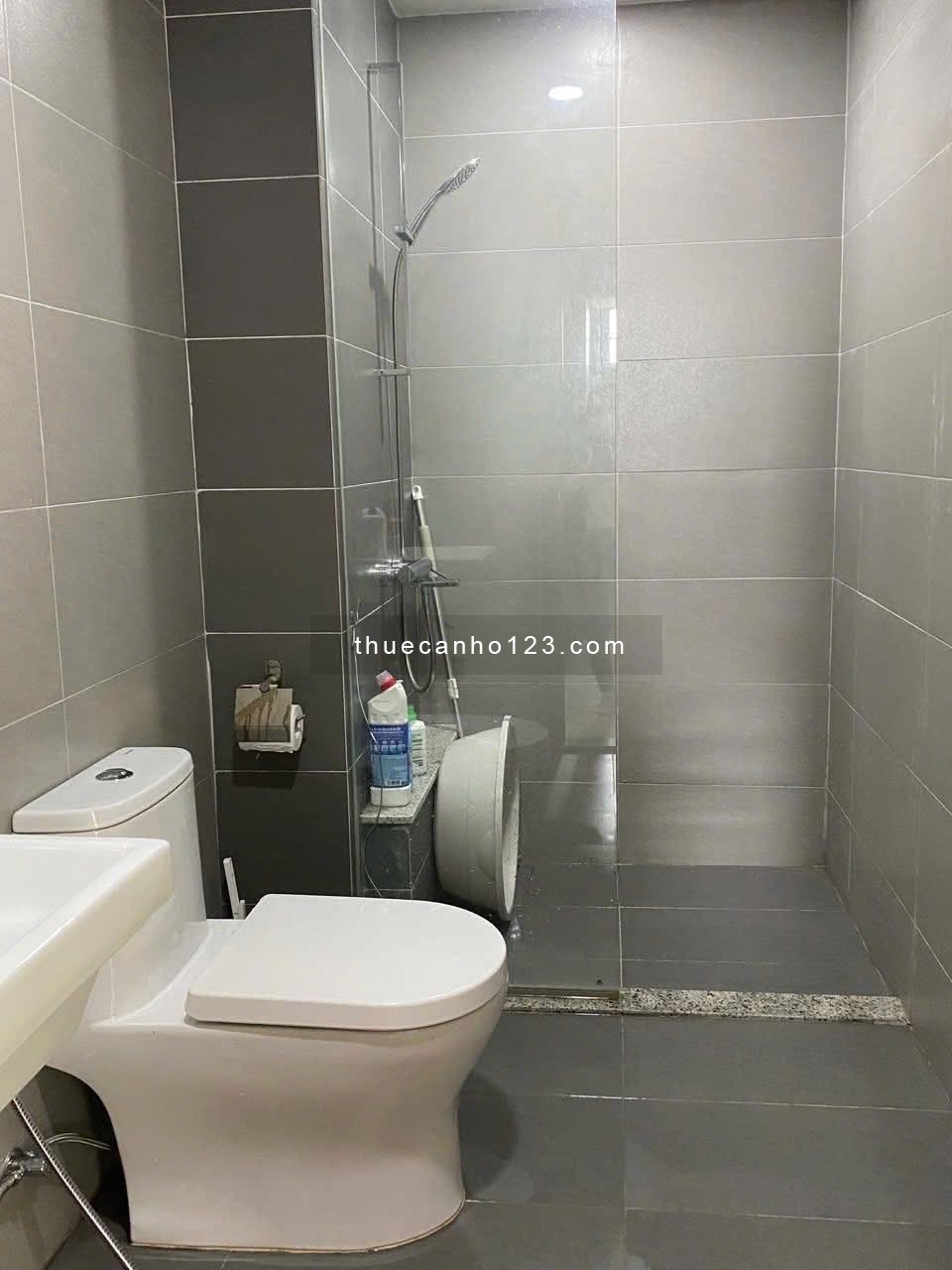 Emerald Celadon City cho thuê căn hộ full nội thất 71m² 2PN 2WC.