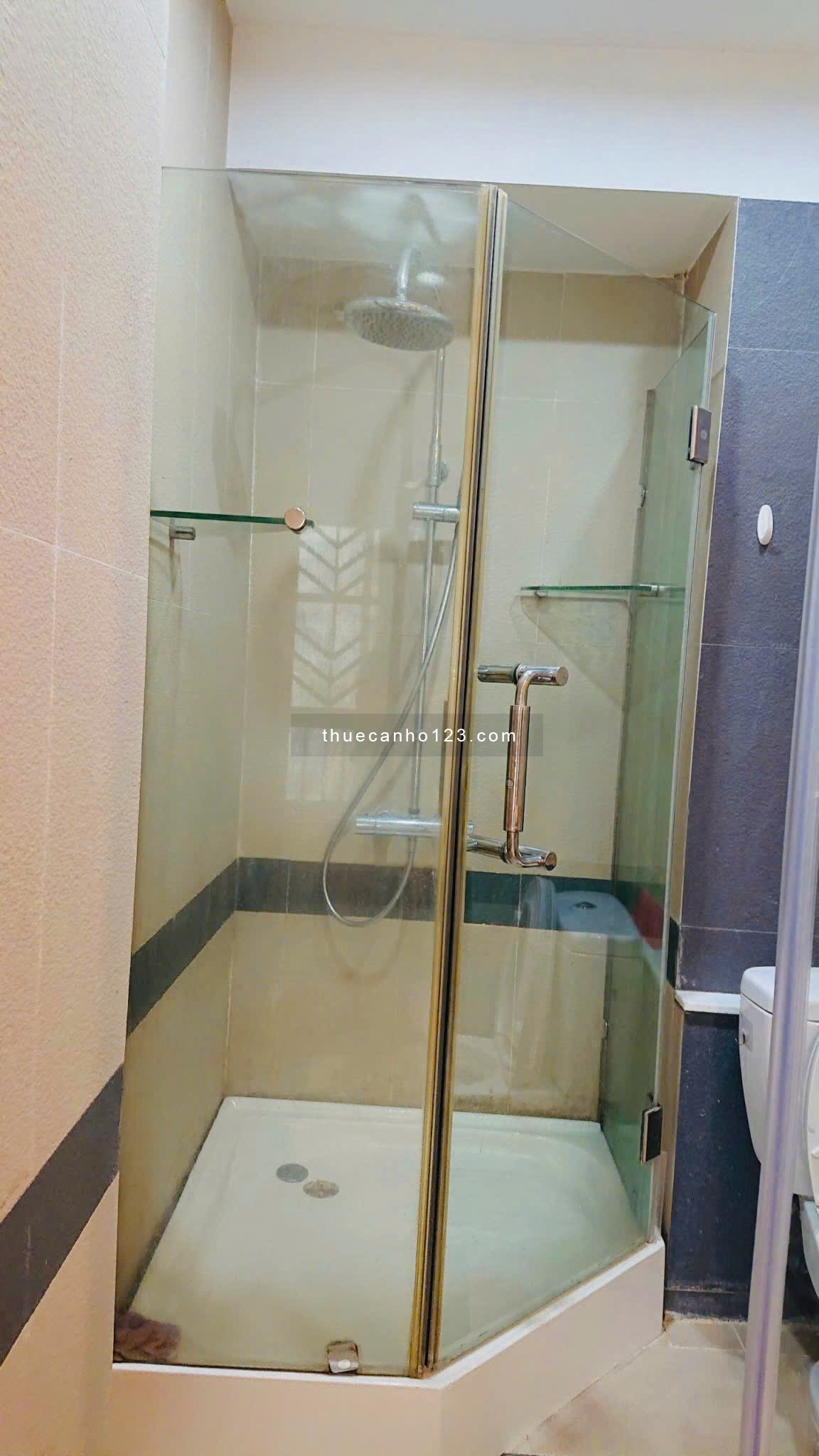 Cho thuê căn hộ 1 ngủ VIP - CT4 , Mỹ Đình Sông Đà