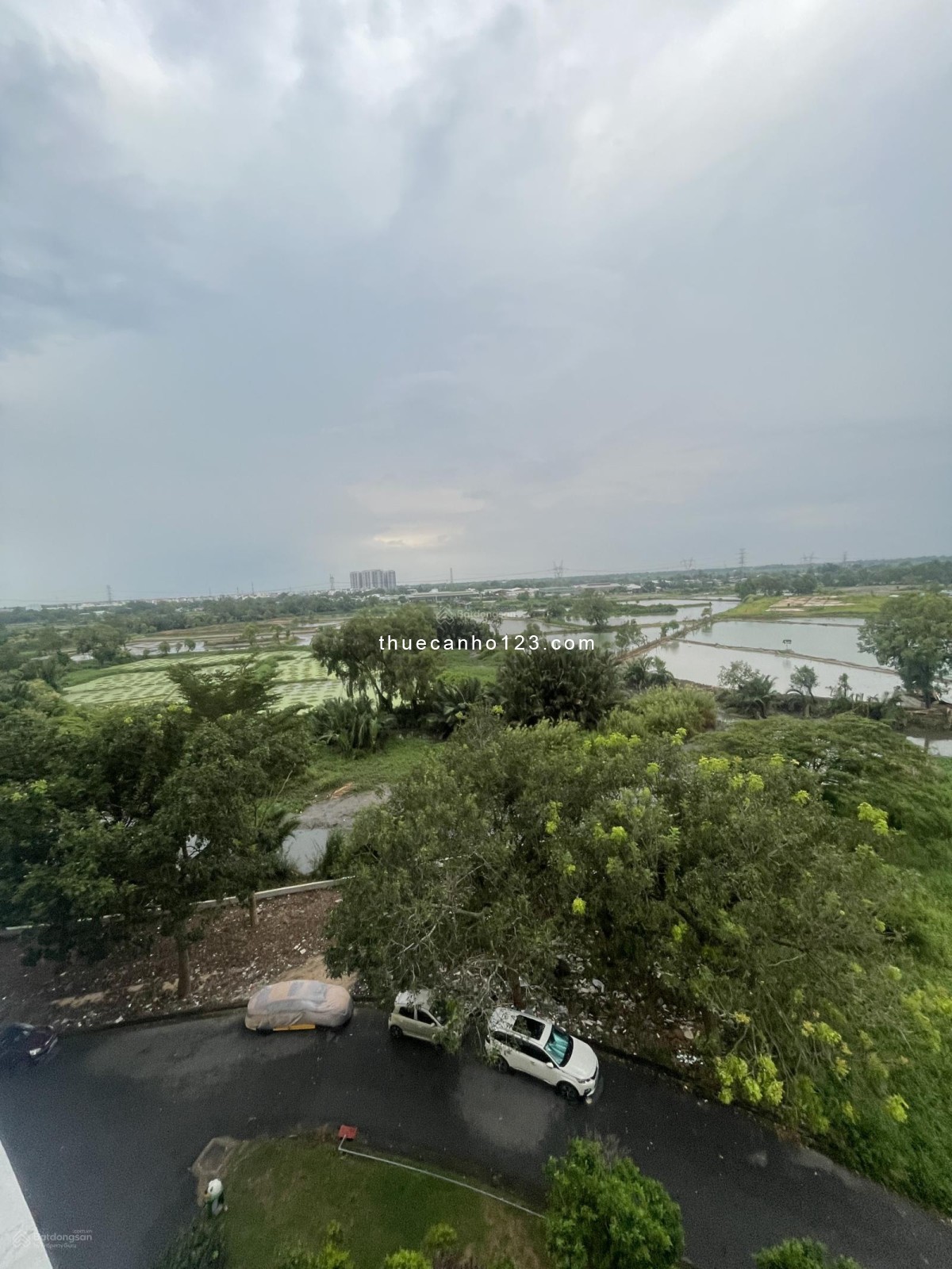 Cho thuê căn hộ Terra Rosa 80m², 2PN, 2WC, view Tây Bắc