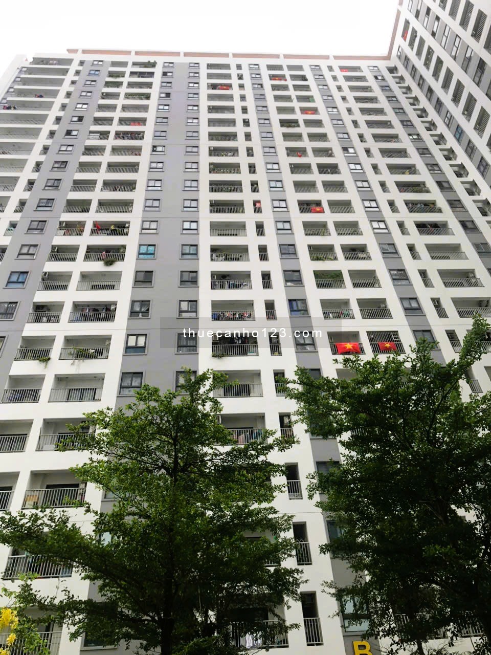 Cho thuê căn 2PN 1WC, 52m2, dự án CC Iris Tower Bình Hòa