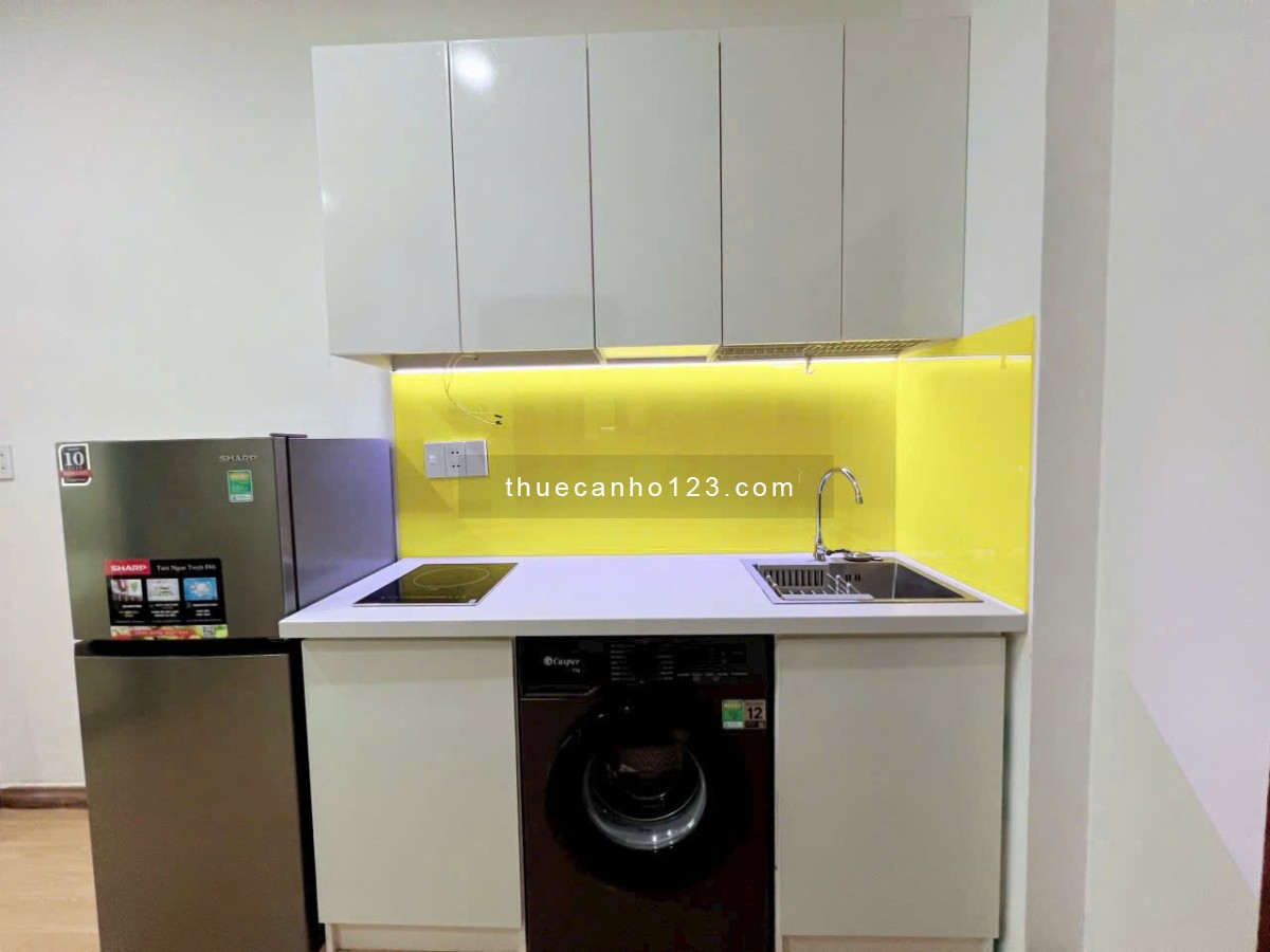 Căn hộ dịch vụ 1PN Q1 - ngay công viên Lê Văn Tám, chợ Tân Định, vòng xoay Điện Biên Phủ,...