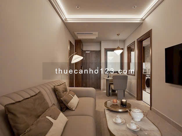 Cho thuê căn hộ 1 phòng ngủ ngay sân bay Tân Sơn Nhất, Tân Bình