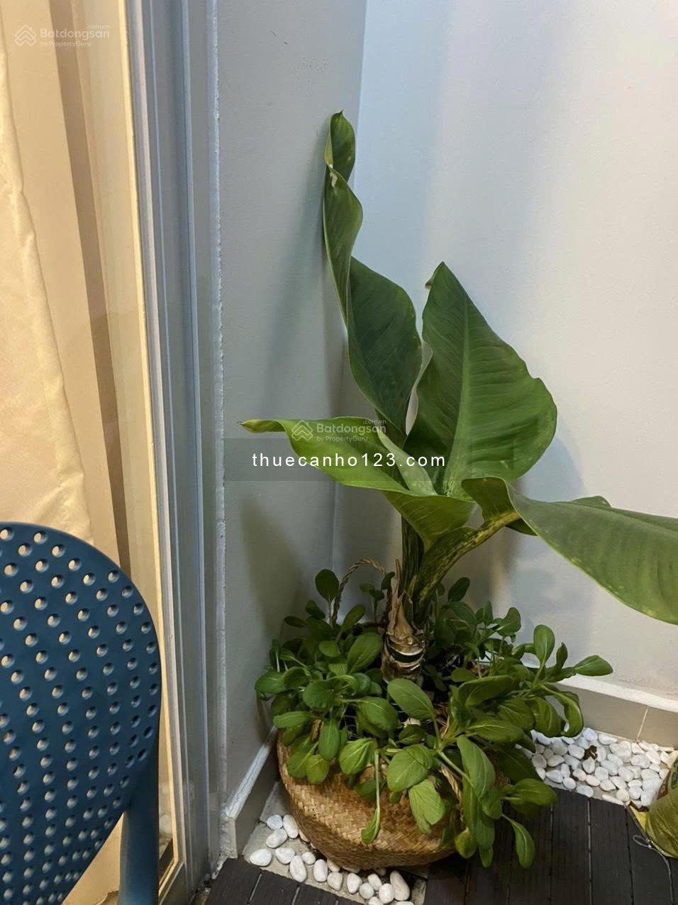 Căn hộ chung cư Him Lam Chợ Lớn cho thuê căn 2PN - 11 triệu