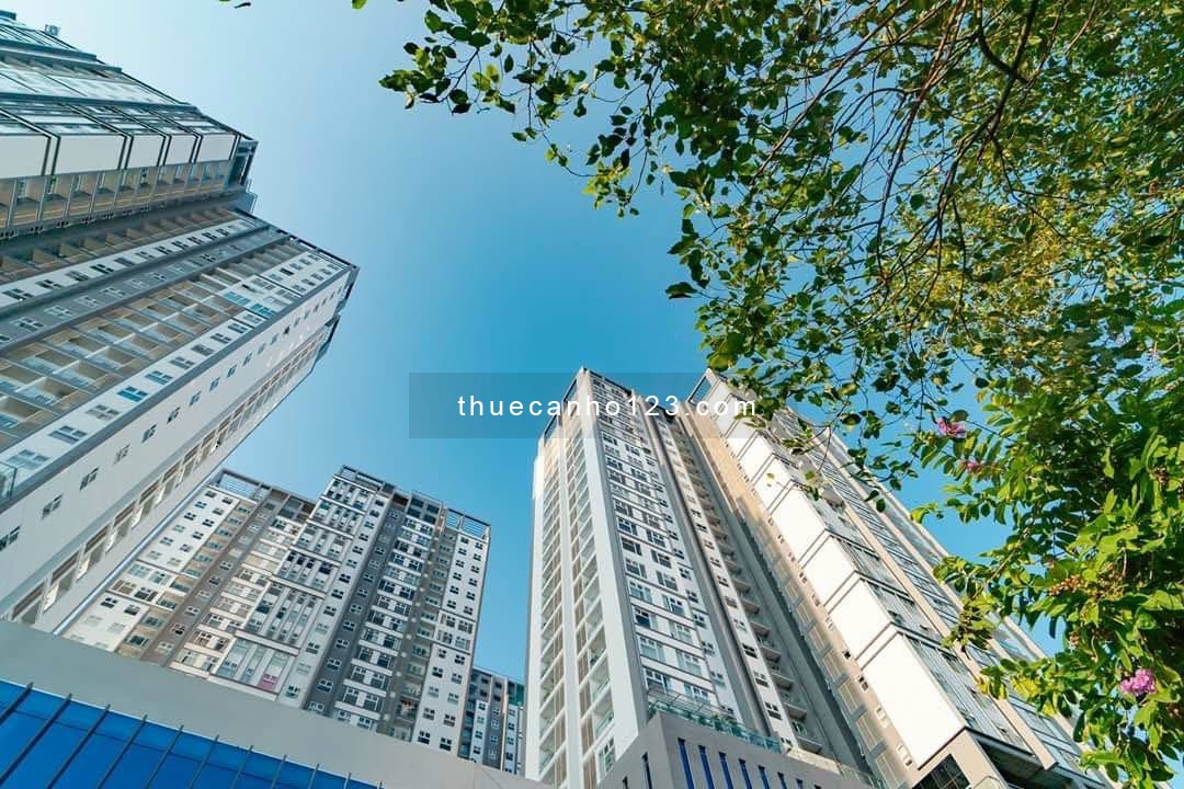 Cho thuê căn hộ chung cư Xi Grand Court Chính Chủ