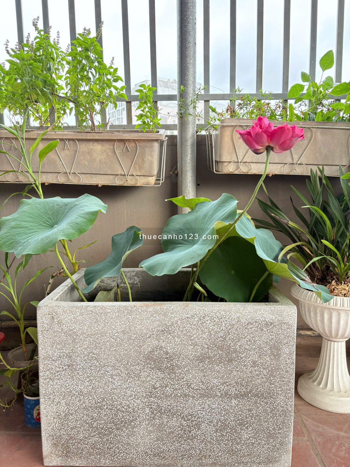 Chính chủ cho thuê phòng hoặc cả tầng phù hợp làm Căn hộ gia đình, Văn phòng.