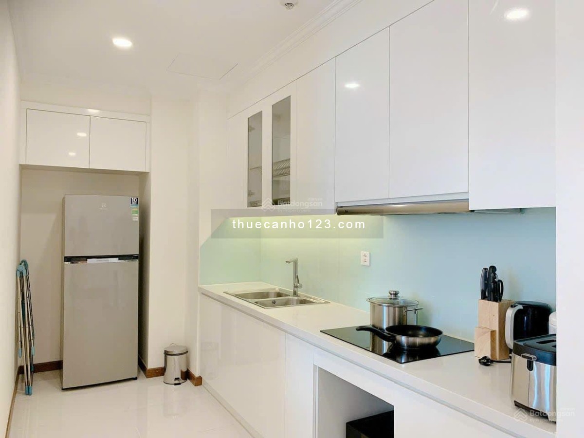 Cho thuê căn hộ 2 phòng ngủ EverRich Infinity – Quận 5, trung tâm Sài Gòn