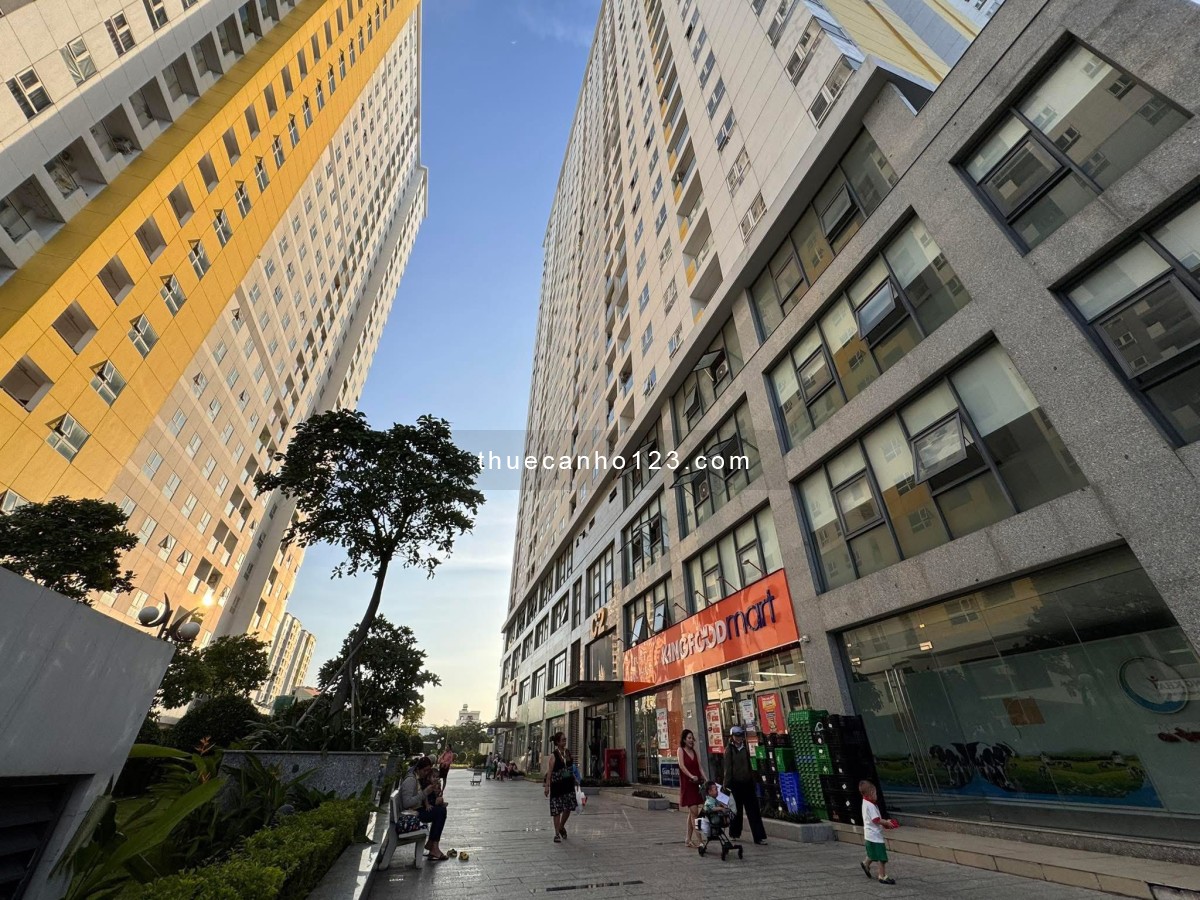 Cho thuê Diamond Riverside 2PN có máy lạnh, rèm… Giá 9 triệu/tháng