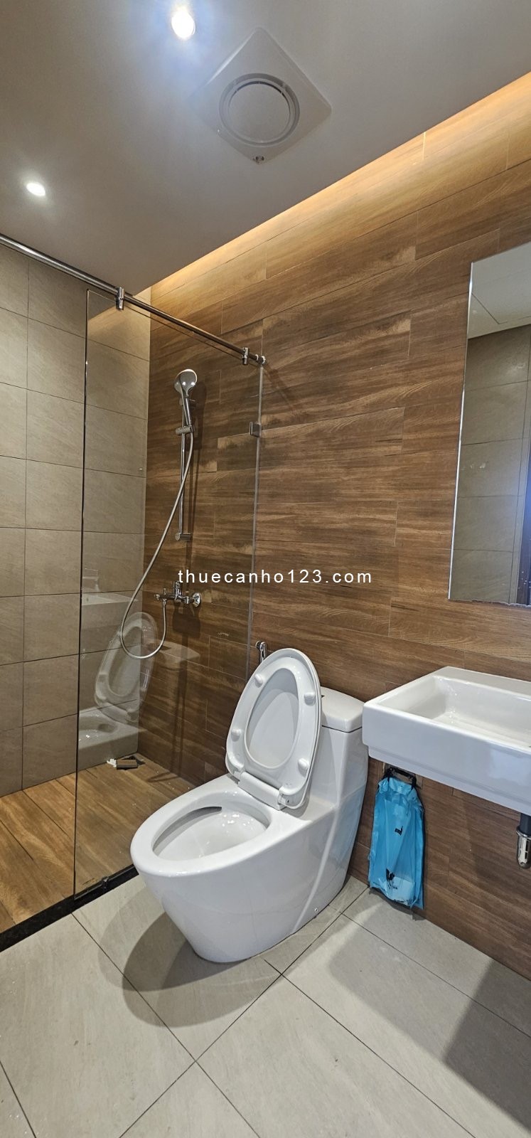 Cho thuê căn 2PN, 85m2, giá 16tr, Diamond Plus, Celadon City