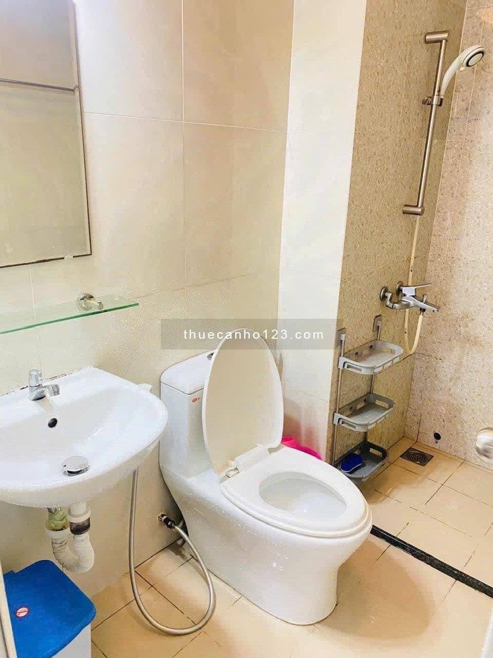 Cho thuê chung cư Topaz Trịnh ĐÌnh Thảo, Tân Phú: 73m2, 2pn, 2wc 10tr/th
