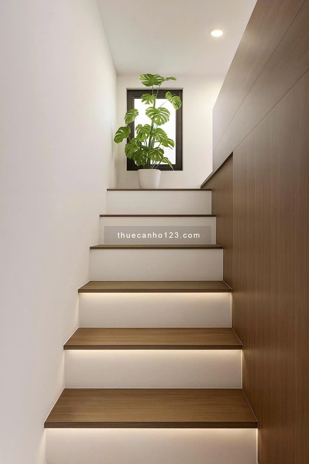 Cho thuê căn hộ duplex máy giặt riêng Tân Bình gần Sân bay