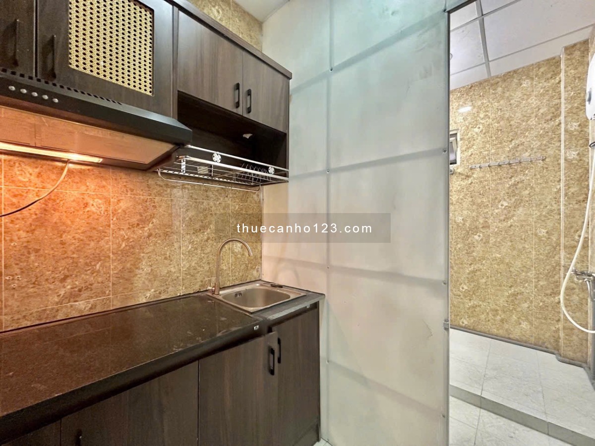 Căn hộ cho thuê Q1 2PN - 50m2 tại trung tâm quận 1 đường Mạc Đỉnh Chi gần ĐH Xã Hội và Nhân Văn