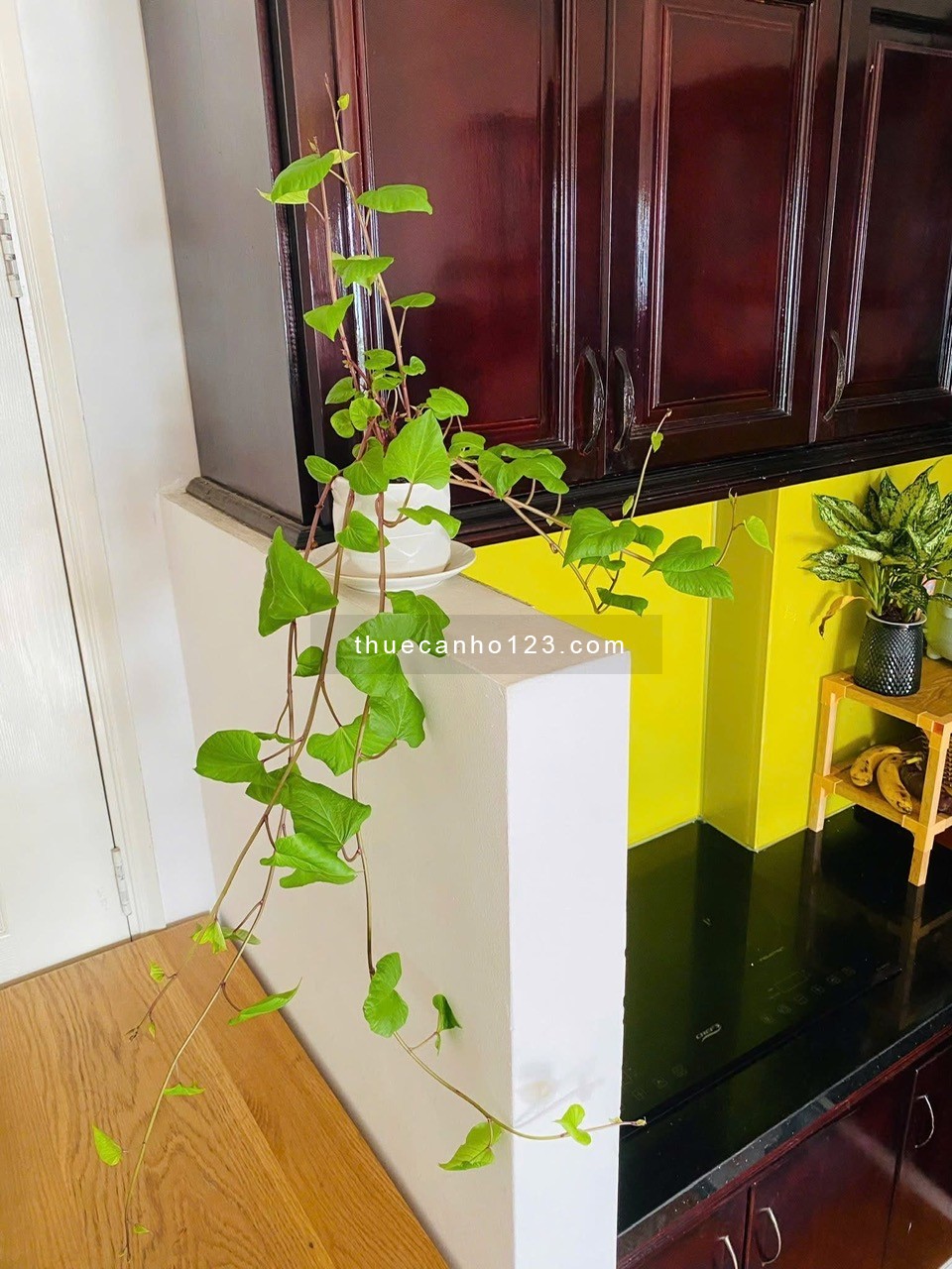 Chung cư Thái An, Nguyễn Văn Quá, Q12: 3p ngủ, Full nội thất, 8tr/th