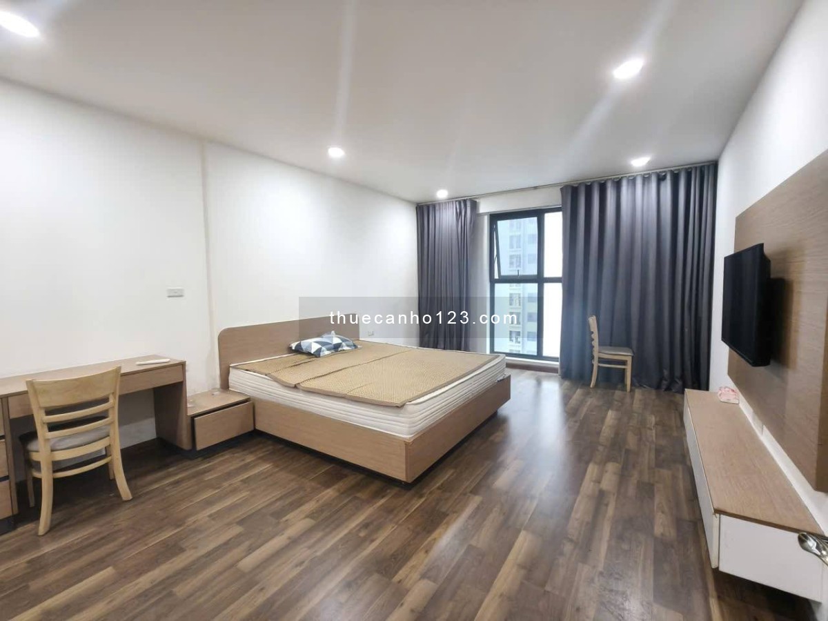 Cho thuê căn hộ 4PN – Có slot ô tô – Vào ở nga