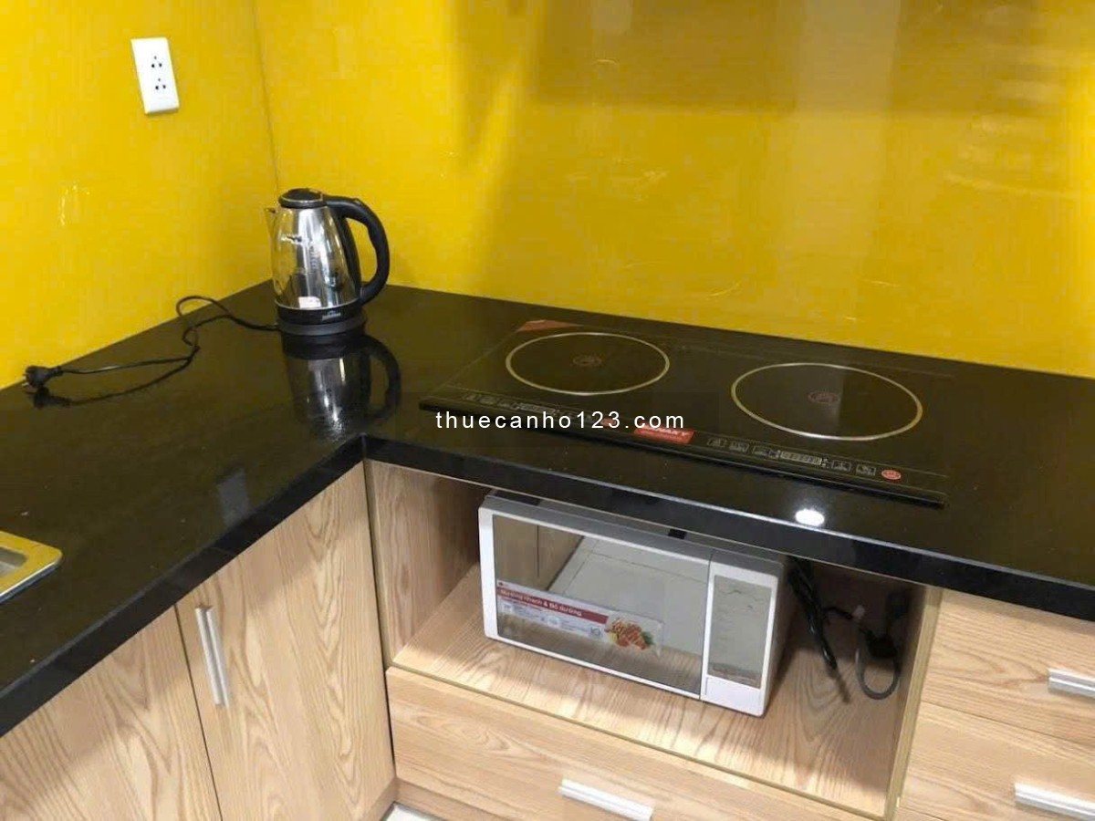 Chung cư Central, 91 Phạm Văn Hai, TB: 50m2, 1p ngủ, full NT, giá 11tr/th