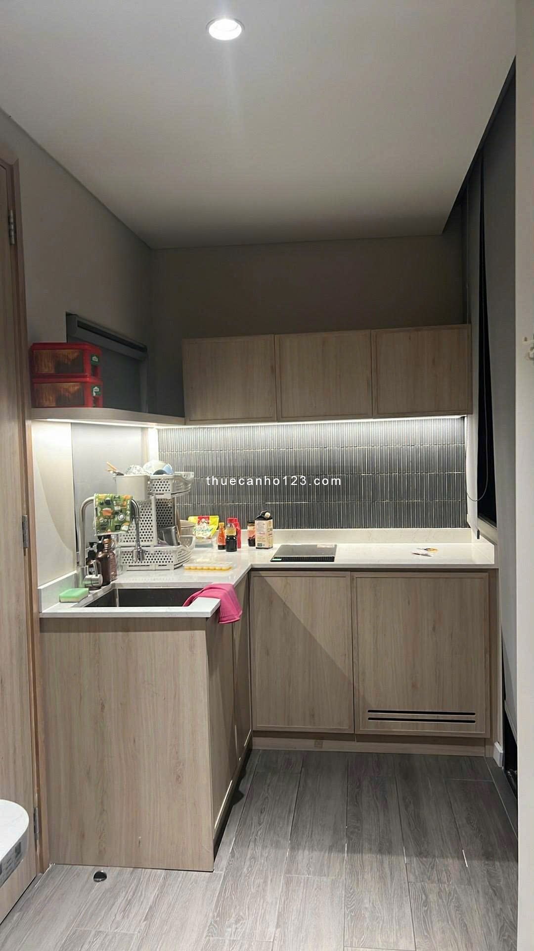 Cho thuê căn hộ Tân Bình 1PN gần sân bay, Etown và Vincom