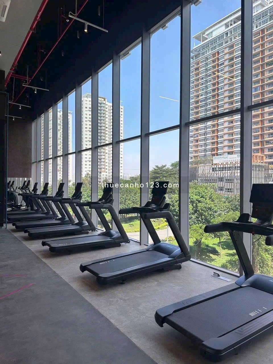 Cập nhật giỏ hàng cho thuê Căn hộ Celesta Rise giá rẻ nhất thị trường