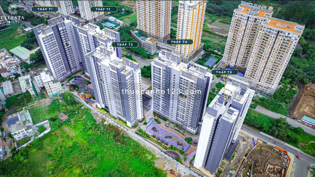 Cập nhật giỏ hàng cho thuê Căn hộ Celesta Rise giá rẻ nhất thị trường