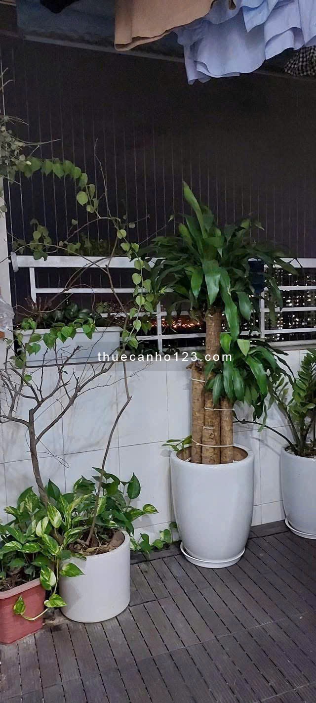 Căn 3p, 110m2 C/c Harmona, Trương Công Định, TB giá 15.5tr/th, Nội thất.