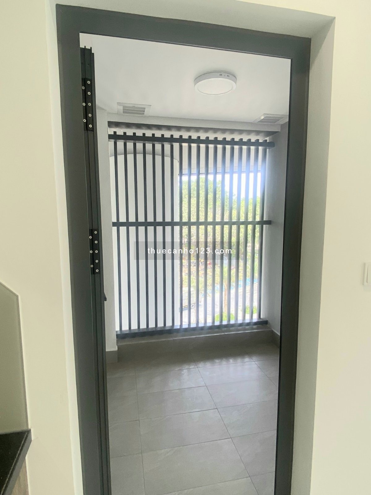 Cho thuê Sky Villa 2PN, 2WC, 160m2 xe hơi chạy lên tận nhà, giá 22tr/ tháng, NTCB Celadon City