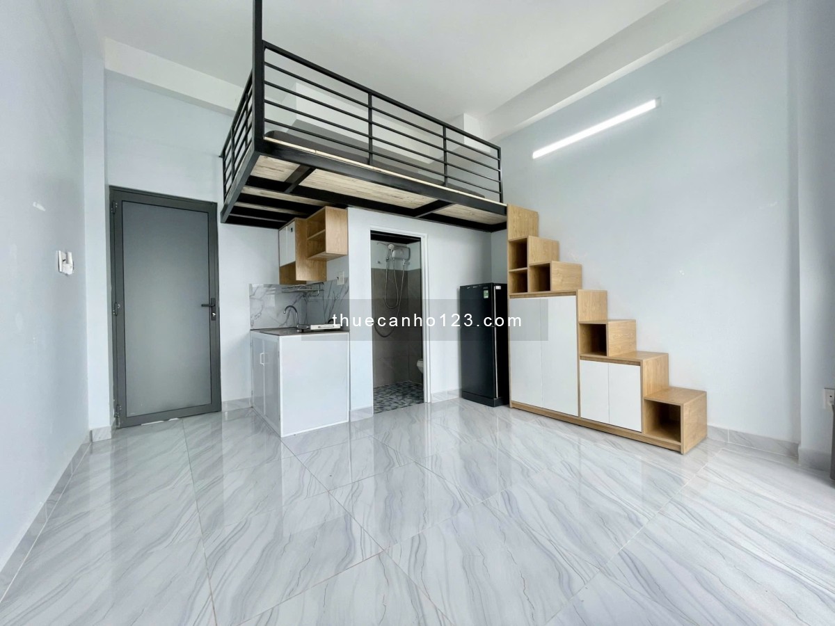 Cho thuê căn hộ Duplex Tân Phú gần Aeon Mall, Celadon City, Diamond Centery,