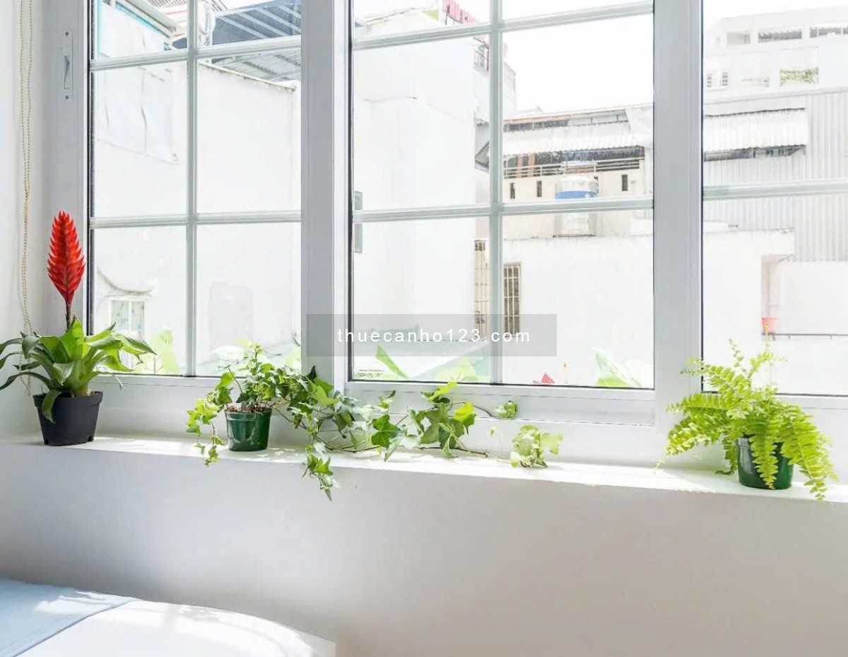 Cho thuê Studio cửa sổ trời Q1, ngay phố tây Bùi Viện, giáp Trần Hưng Đạo, cầu Ông Lãnh, Pullman