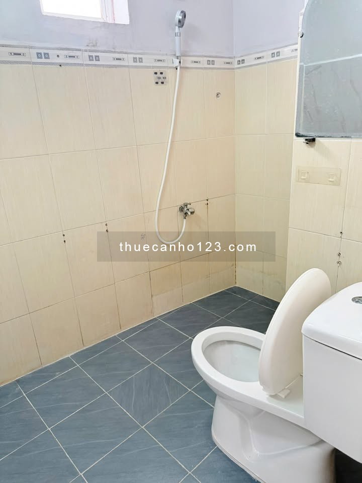 Cho thuê căn hộ 3 phòng ngủ chung cư 199 Nam Kỳ Khởi Nghĩa