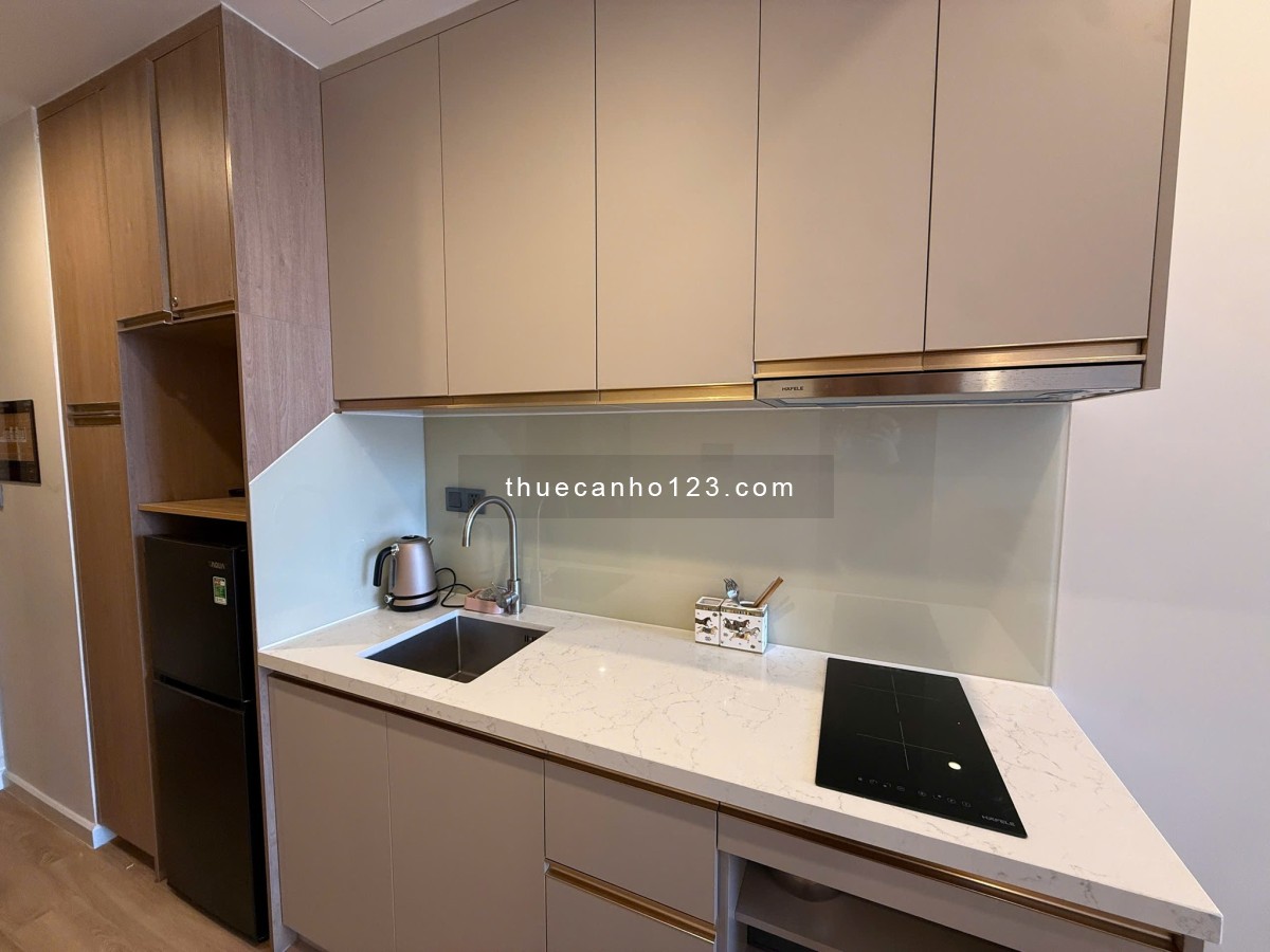 Cho thuê căn hộ studio Icon 40 – Hùng Thắng, 5 triệu/tháng