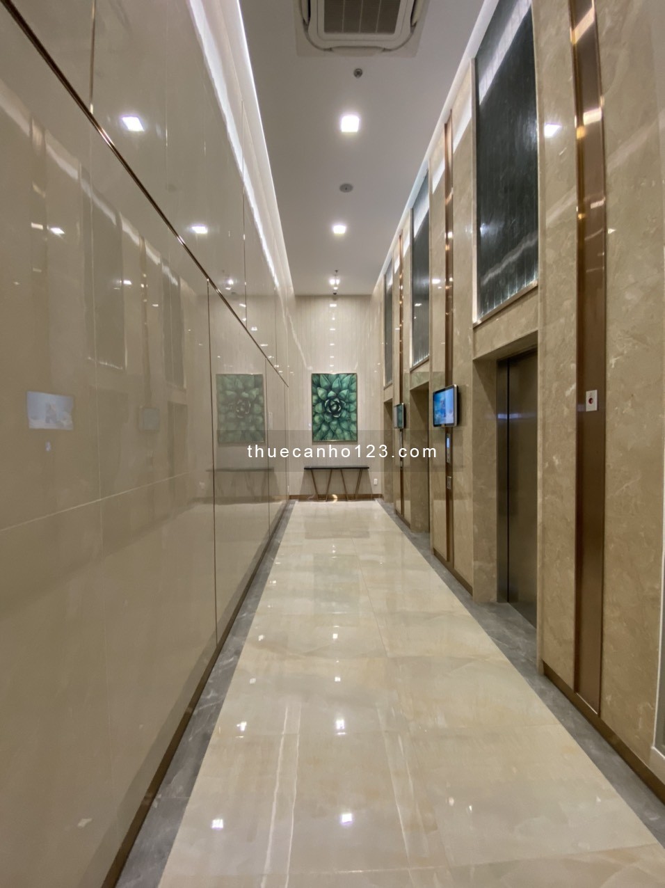 Cho thuê căn hộ D’Lusso – Căn 1PN+1 số lượng ít, view sông, full nội thất đẹp