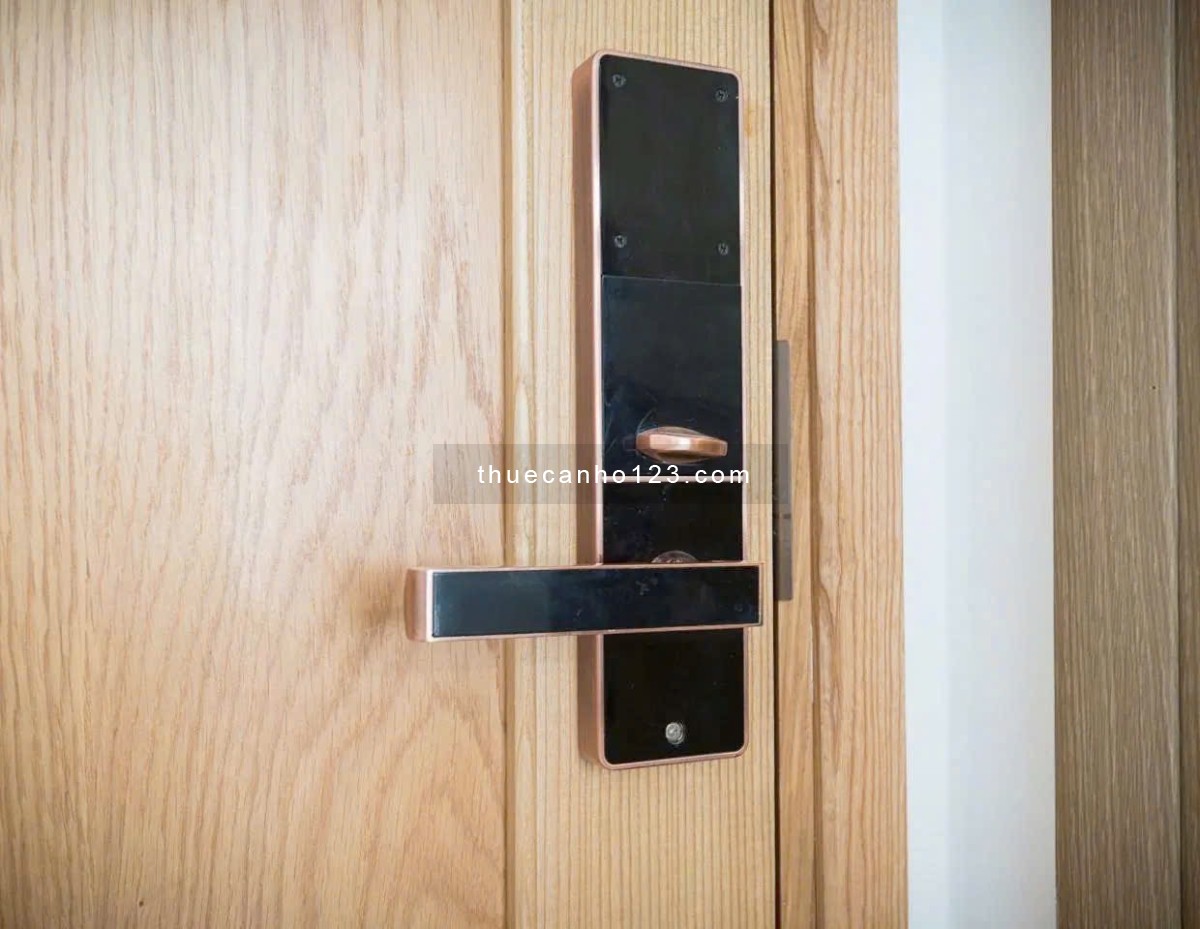 Cho thuê căn hộ Studio Cửa sổ thoáng Q1 gần cầu Ông Lãnh, chợ Bến Thành, công viên 23 tháng 9