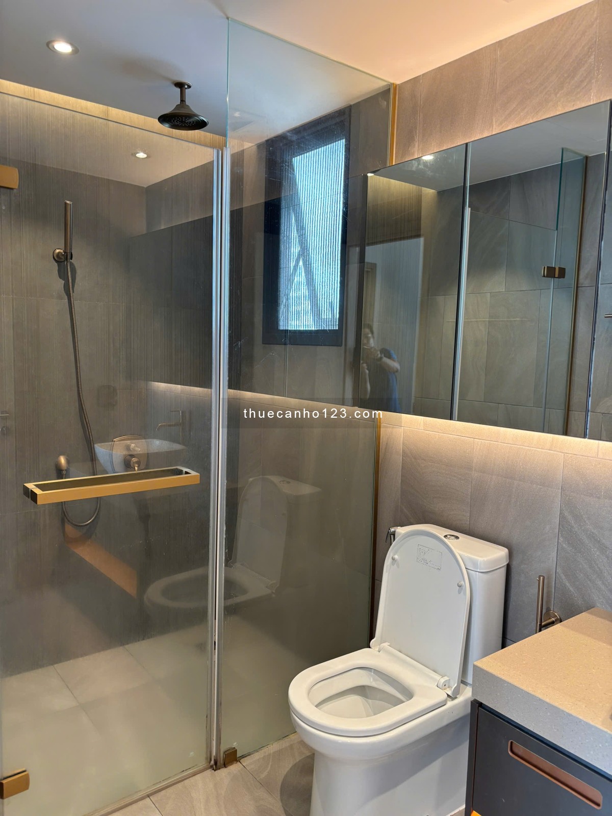 cho thuê căn hộ the Antonia phú mỹ hưng q7 giá 23tr/ tháng view biệt thự.