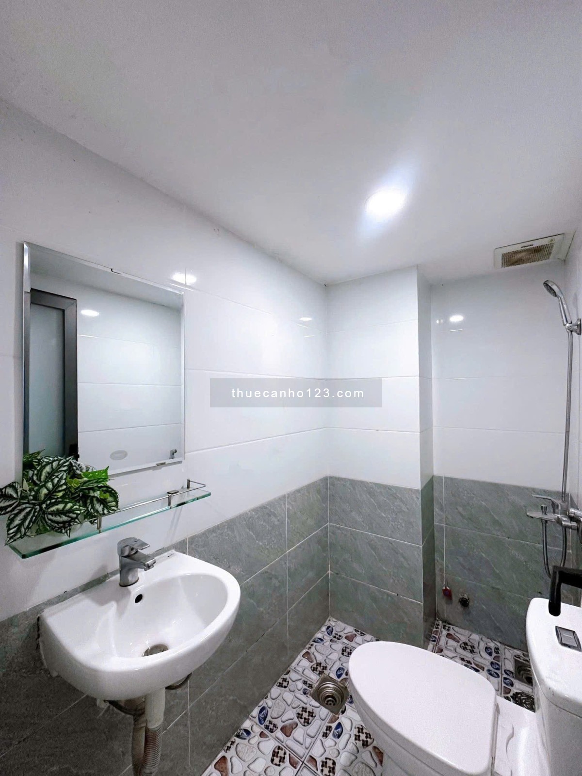 Chung cư Diyas Sky, Nguyễn Đức Thuận, TB: 37m2, nhà mới, 5,5tr, Studio.