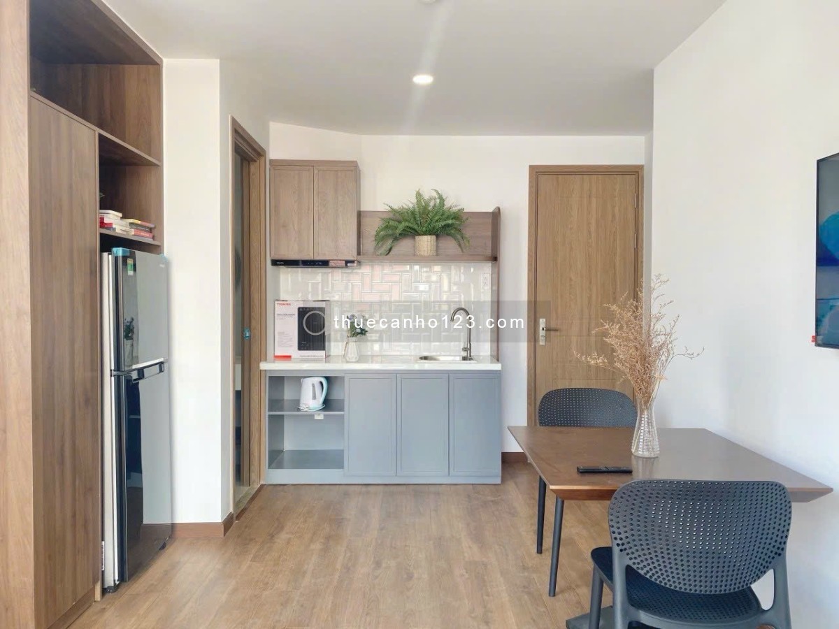 Cho thuê căn hộ – Nguyễn Cửu Đàm, P. Tân Sơn Nhì, Tân Phú – ngay E-Town Cộng Hòa