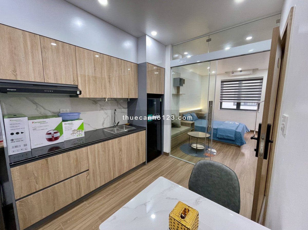 Cho thuê căn hộ 1 ngủ tách bếp (40m2) Waterfront City.