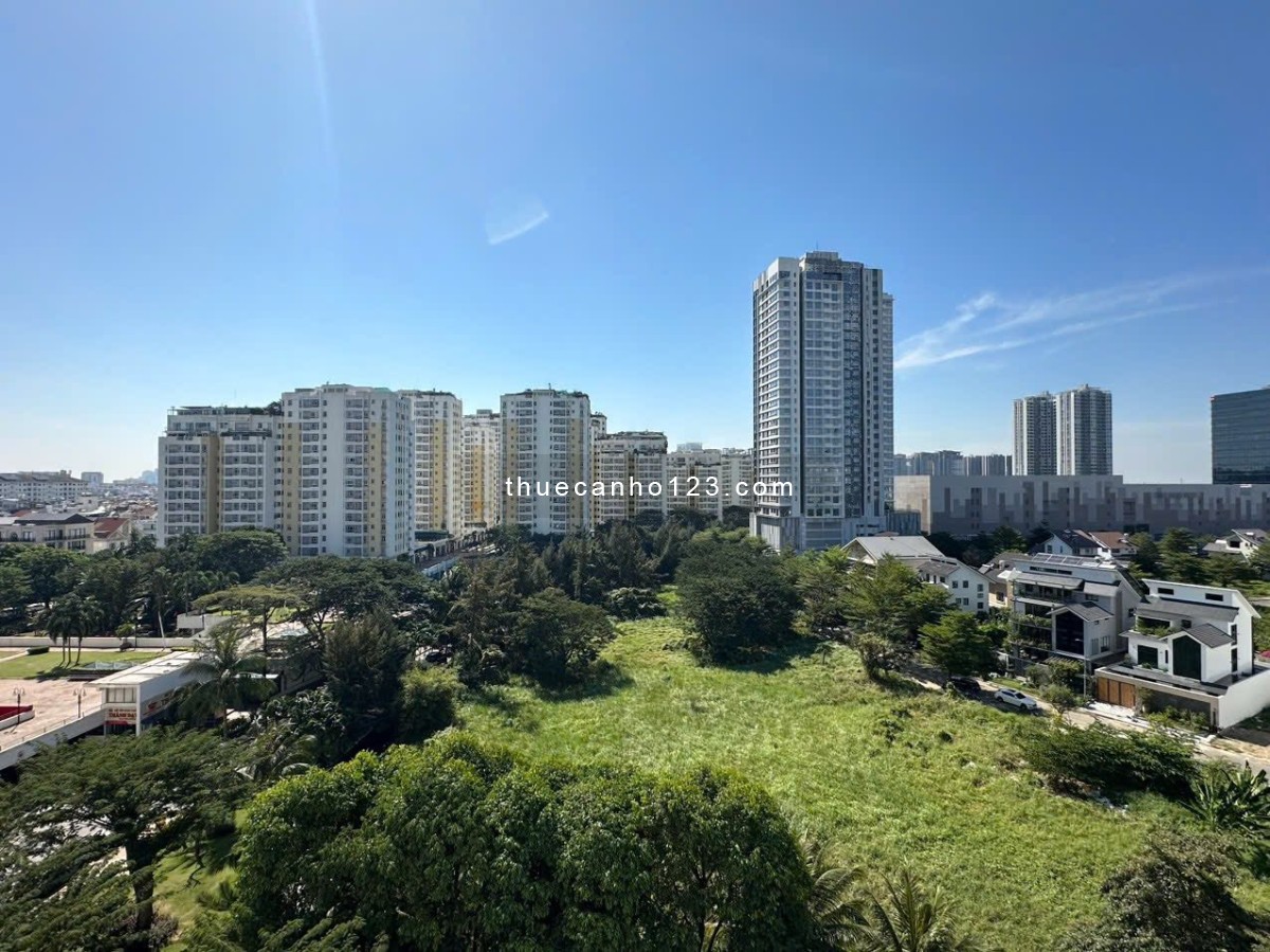 Cho thuê căn hộ Sky Garden 3 - Phú Mỹ Hưng Quận 7 - Ảnh 6