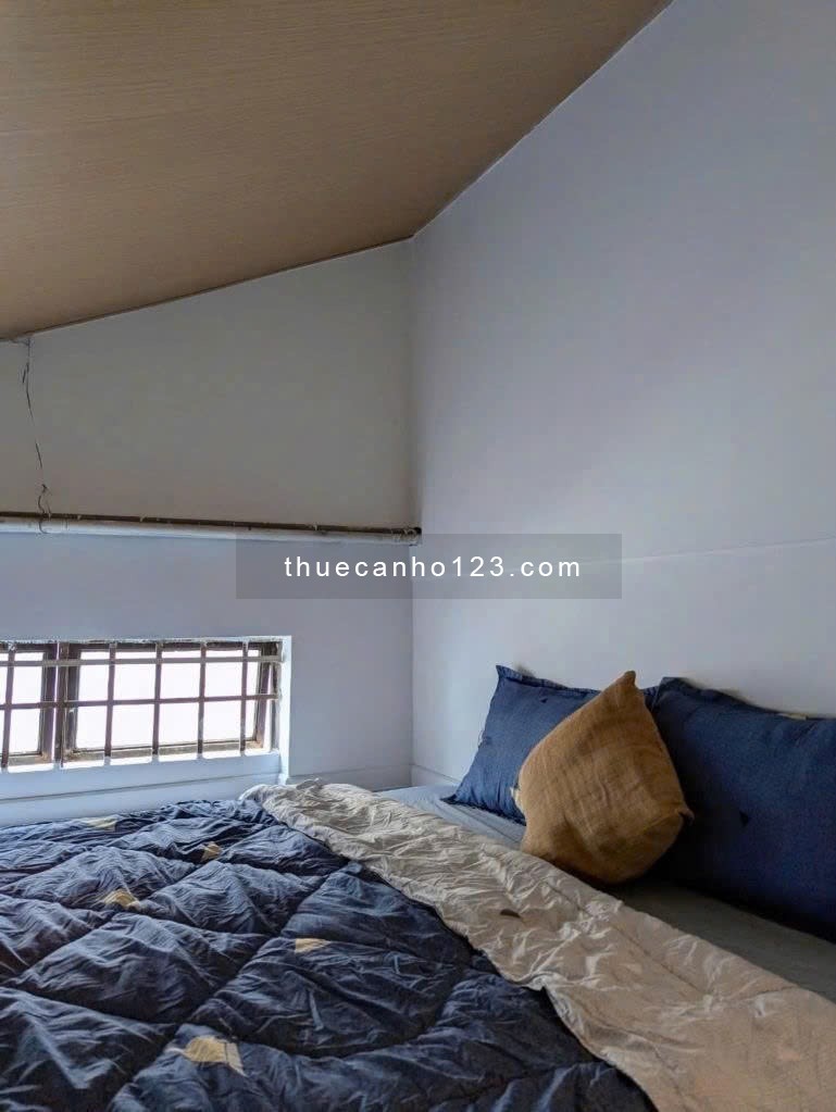 Cho thuê căn hộ 1PN - Nguyễn Trọng Lội, Phường 2, Tân Bình - Ngay sân bay Tân Sơn Nhất - Ảnh 8