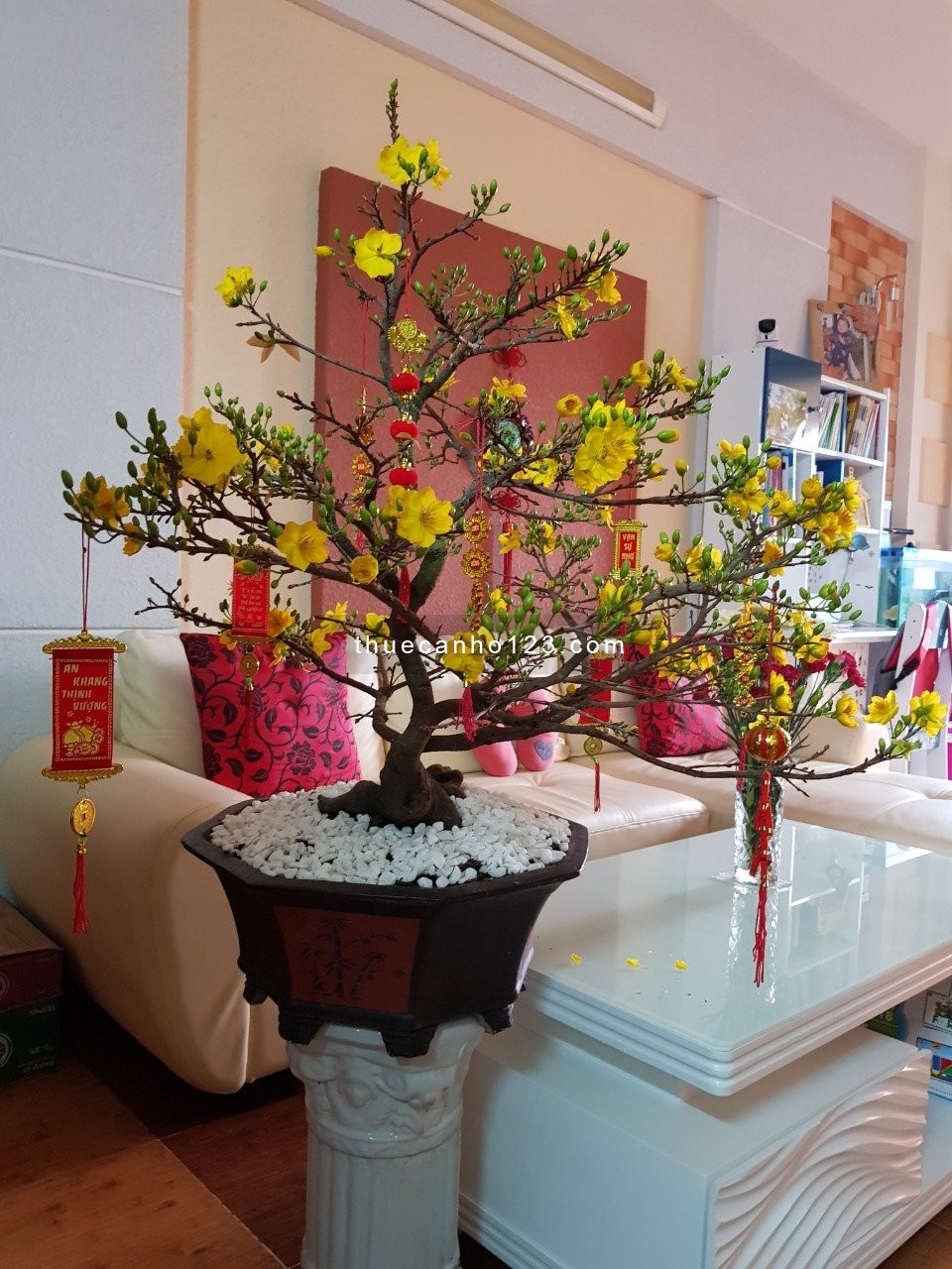 Cần cho thuê chung cư Khang Phú diện tích 74m 2PN giá 9 Triệu có nội thất - Ảnh 1